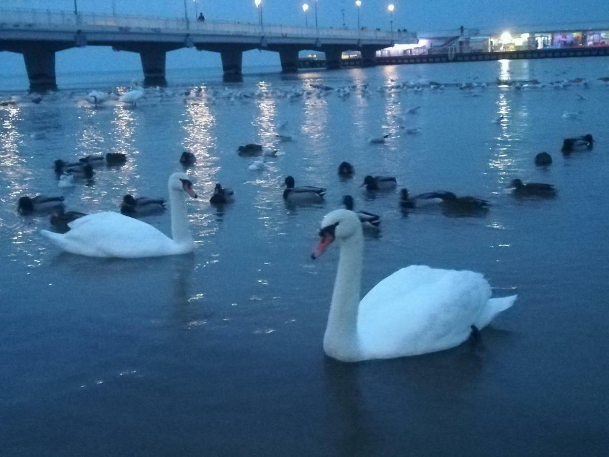 Polanki Park u Marty - Basen Apartment Kolobrzeg Bagian luar foto